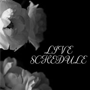 ✨Like to be notified of live sales ✨